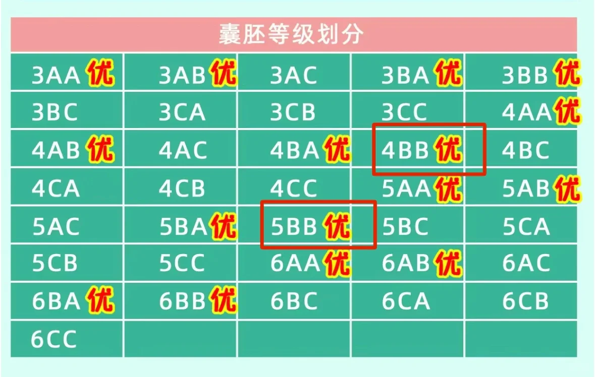(D5) 养囊第五天啦！,代孕机构电话咨询