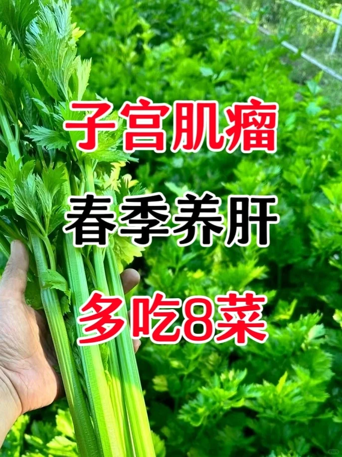 香港失独求子费用多少？再生育途径与费用构成分析