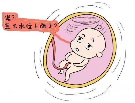 香港第三代试管婴儿费用揭秘：了解您的辅助生殖投资