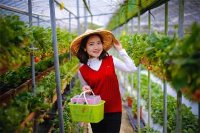 解锁生育新选择：成都未婚女性三代试管费用揭秘及优势分析